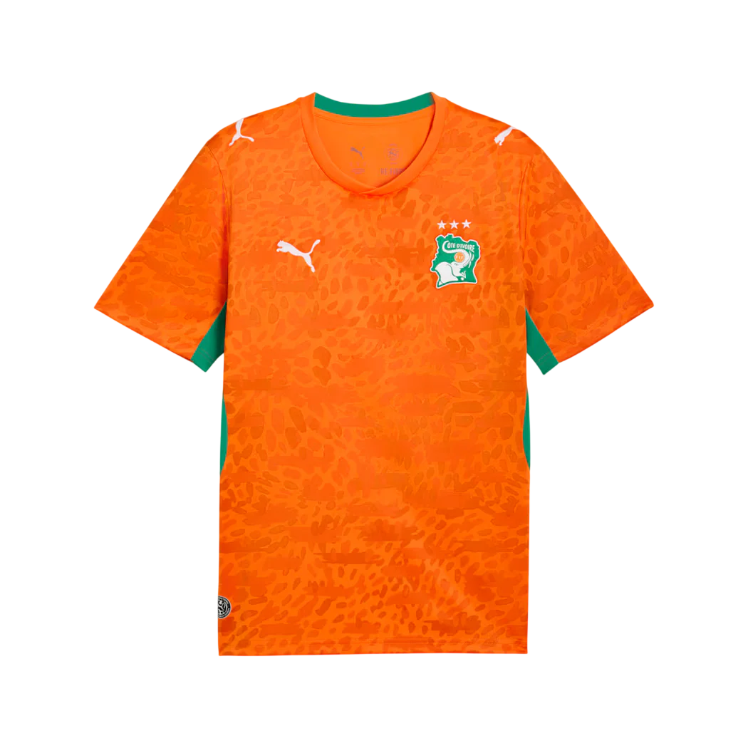 Ivory Coast World Cup Jersey
