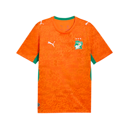Ivory Coast World Cup Jersey