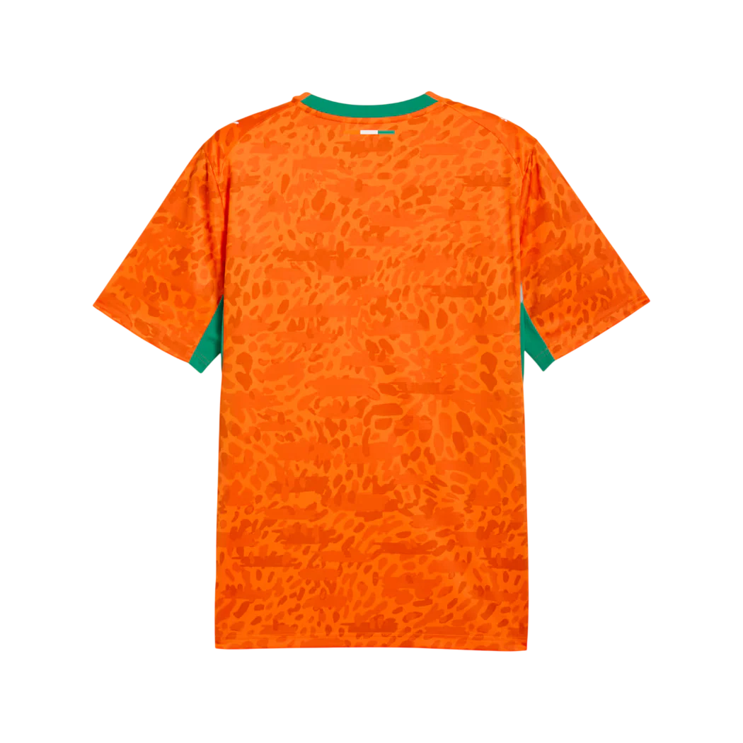 Ivory Coast World Cup Jersey