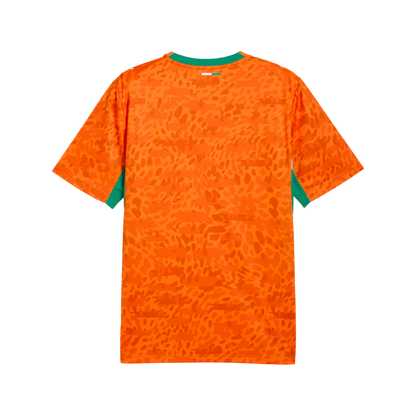 Ivory Coast World Cup Jersey